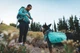 Шлейка-рюкзак для собаки Ruffwear Front Range™ S Зеленый (50601-355S) - изображение 14