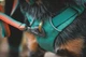 Шлейка-рюкзак для собаки Ruffwear Front Range™ S Зеленый (50601-355S) - изображение 12