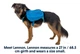 Шлейка-рюкзак для собаки Ruffwear Approach™ S Синий (50103-407S) - изображение 2