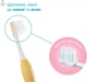 Набор зубных щеток Chicco First Milk Teeth для первых зубов 6-36 мес 2 шт (12082.00) (8058664174706) - изображение 3