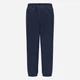 Подростковые спортивные штаны-джоггеры для мальчика Levi's LVN Boxtab Jogger 9EJ763-C8D-LQ 134-140 см Синие (3666643020873) - изображение 6