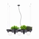 Люстра PLANT SHELF 5555 Zuma Line - изображение 1