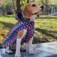 Дощовик для Собак Barksi Textile з Капюшоном Печворк M (17548719) - зображення 3