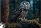Пазл "Мудрая сова" 1000 элементов TRFL_B/OWL DGT-PUZZLE, в коробке (4820266221379) - изображение 2