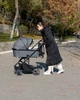 Коляска універсальна CARRELLO Alfa CRL-6507 (2in1) Graphite Grey /1/ - изображение 4