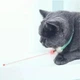 Умный лазерный ошейник для кошек Smart Laser Collar Смарт игрушка с лазерной указкой - изображение 2
