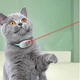 Умный лазерный ошейник для кошек Smart Laser Collar Смарт игрушка с лазерной указкой - изображение 4