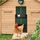 Автоматические двери для курятника Chicken House светочувствительные ворота для сельскохозяйственных животных / птиц от хищников, зеленый "P" (85736885) - изображение 6