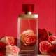 Парфумована вода для жінок Elizabeth Arden Arden Beauty 100 мл - зображення 4