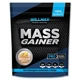 Гейнер Willmax Mass Gainer 2000 g /20 servings/ Peach Yogurt - зображення 1