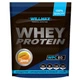 Протеїн Willmax Whey Protein 80 920 g /23 servings/ Melon - зображення 1