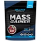 Гейнер Willmax Mass Gainer 2000 g 20 servings Wild Berry (000021903) - изображение 1