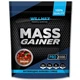 Гейнер Willmax Mass Gainer 2000 g 20 servings Cherry (000021898) - изображение 1