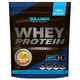 Протеїн Willmax Whey Protein 65 1000 г 25 servings Mango Sorbet (000021932) - зображення 1