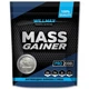 Гейнер Willmax Mass Gainer 2000 g /20 servings/ Natural - зображення 1