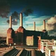 Pink Floyd – Animals (Remastered 2011) Audio CD (импорт, буклет) - изображение 1