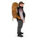 Туристический рюкзак Osprey Rook 65 Histosol Brown/Rhino Grey (009.3520) - изображение 5