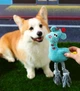 Игрушка для собак Kussa Мягкая Олень с Узлами Голубой - изображение 2