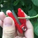 Секатор на палец пластиковый Красный - изображение 2
