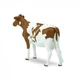 Фігурка Айрширська корова Safari Ltd 162129 - зображення 5