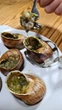Равлики Escargot de Bourgogne ЕСПАНЬЙОЛЬ (упаковка тарілка 130 гр.) - изображение 3