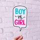 Набор фотобутафории Happy Moments для гендер пати "BOY OR GIRL" 11 шт (079011) - изображение 6