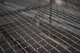 Сітка канілірована Сітка Захід вічко 50х50 ф 5,00 мм 1,50/2,00 м металева - зображення 6