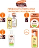 Заспокійлива олія Palmer's Cocoa Butter Formula Олія какао-Вітамін Е 150 мл (4050.00) (010181040504) - зображення 6