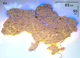 Карта Украины из дерева настенный декор с LED подсветкой Nevet сине-желтый на Английском языке 83х55 см (0001209) - изображение 1