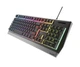 Клавіатура ігрова Genesis Rhod 300 RGB Backlight 104 USB чорна - изображение 5