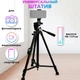Посилений штатив з пультом для смартфона або камери фотоапарата Yunfeng 3388 - зображення 2
