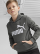 Дитяче тепле худі на флісі для хлопчика Puma Ess Big Logo Hoodie Fl B 586965-60 116 см Темно-сіре (4099685595877) - зображення 1