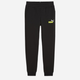 Дитячі теплі спортивні штани на флісі для хлопчика Puma Ess+ 2 Col Logo Pants Fl Cl 586988-59 110 см Чорні (4099685595044) - зображення 1