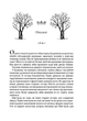 Книга Жорстокий принц (Народ повітря #1). Автор - Голлі Блек (1070525) 9789669820631 978-966-982-063-1 - зображення 3