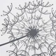 Чохол для одягу Hanging Case for Clothes Dandelion 60x100 см - зображення 6