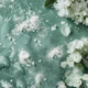 Виниловый фотофон 80x80см, Frontlit 450 г/м2 №551375 - изображение 1