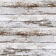 Виниловый фотофон 160x160см, Frontlit 450 г/м2 №550736 - изображение 1