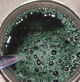 Спіруліна Now Foods Organic Spirulina Powder 454г - зображення 8