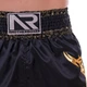 Шорти для тайського боксу та кікбоксингу Another Boxing Heroe 2345 розмір L (48-50) Black-Gold - зображення 3