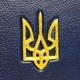 Книга "Конституция Украины" кожаная - изображение 5