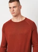 Джемпер мужской Springfield 1406620-69 XL Коричневый (8433299485968) - изображение 4