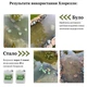 Средство для очистки пруда: Суспензия хлореллы 20 л (от цветения воды и для насыщения кислородом) - изображение 6