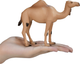 Фігурка Mojo Wildlife Arabian Camel 12 см (5031923871137) - зображення 6