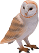 Figurka Mojo Wildlife Barn Owl 4.75 cm (5031923810549) - obraz 3