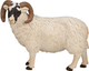 Figurka Mojo Farm Life Black Faced Sheep Ram 8 cm (5031923870819) - obraz 2