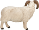 Figurka Mojo Farm Life Black Faced Sheep Ram 8 cm (5031923870819) - obraz 5