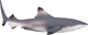 Figurka Mojo Sealife Black Tip Reef Shark 4.5 cm (5031923873575) - obraz 2