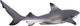 Figurka Mojo Sealife Black Tip Reef Shark 4.5 cm (5031923873575) - obraz 4