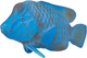 Figurka Mojo Sealife Blue Groper 7 cm (5031923873568) - obraz 2