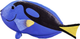 Figurka Mojo Sealife Blue Tang Fish 4.5 cm (5031923872691) - obraz 3